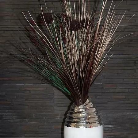 Apartment Kamienny Potok *