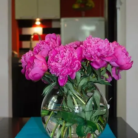 Kamienny Potok Apartment *